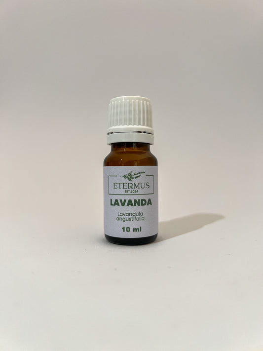 Lavanda